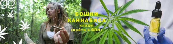 ПСИЛОЦИБИНОВЫЕ ГРИБЫ Алексеевка