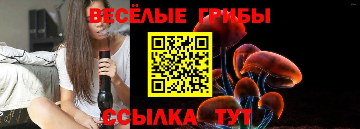 Железноводск  Псилоцибиновые грибы GOLDEN TEACHER  Вход с VPN 